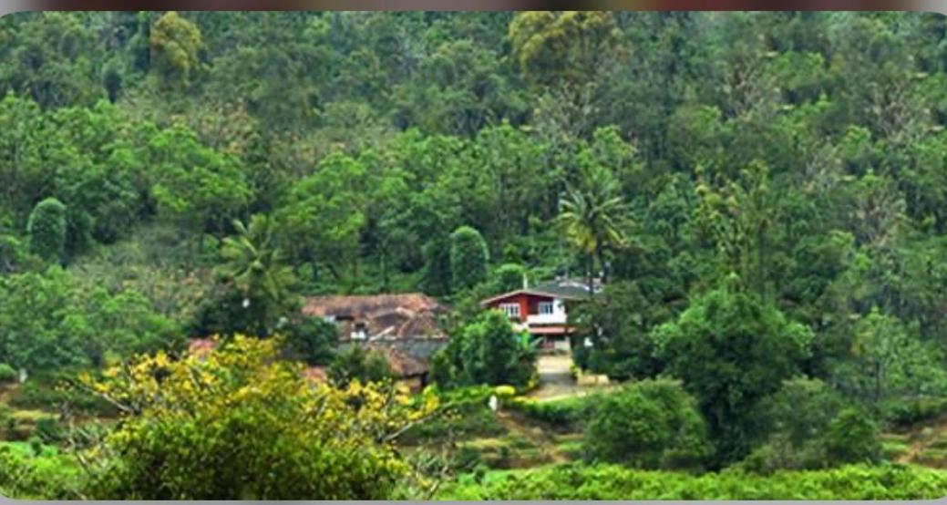 Coorg Naladi Holidays Kakkabe Ngoại thất bức ảnh